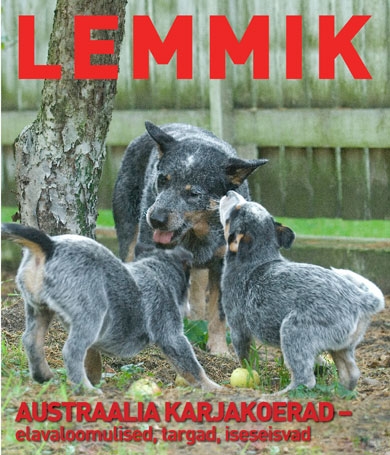 lemmik